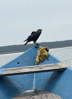 Op Mahayan